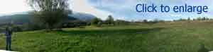 Thmb_Mikey203 Thmb_Mikey203